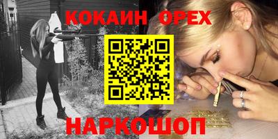крисы Камышлов