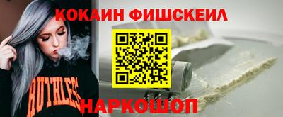 крисы Камышлов