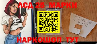 СК Кандалакша