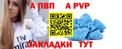 крисы Камышлов