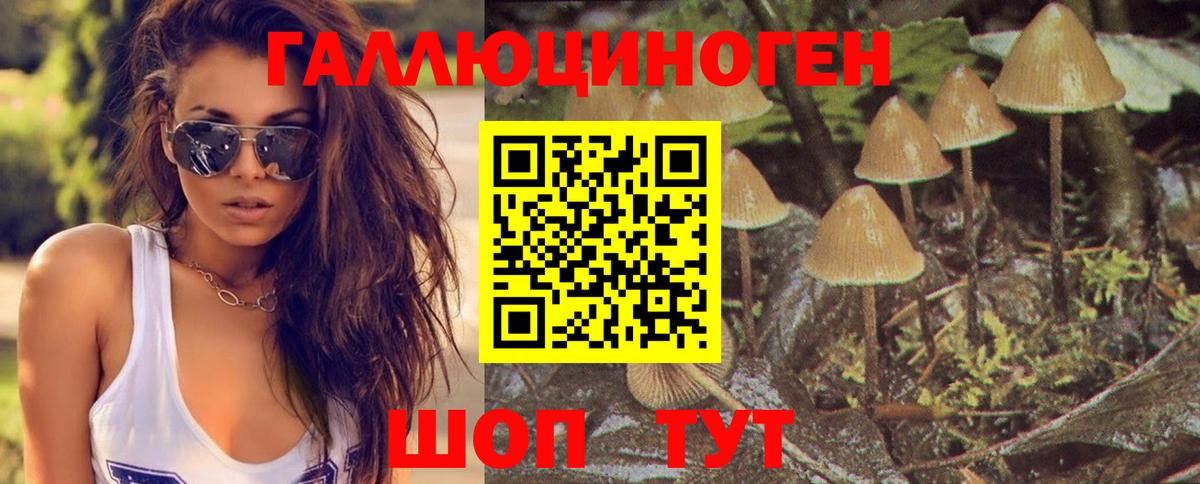 Лабытнанги  Галлюциногенные грибы MAGIC MUSHROOMS  Вход с VPN 