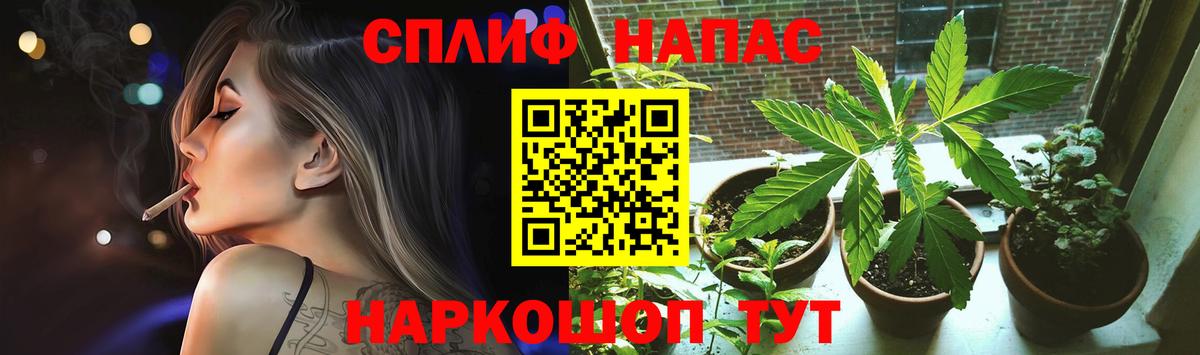 Конопля планчик Лабытнанги